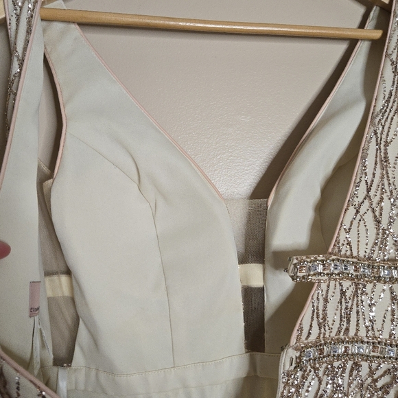 Elizabeth K GL Champagne Glitter Plunge Neck A-Line Gown - Picture 11 of 12